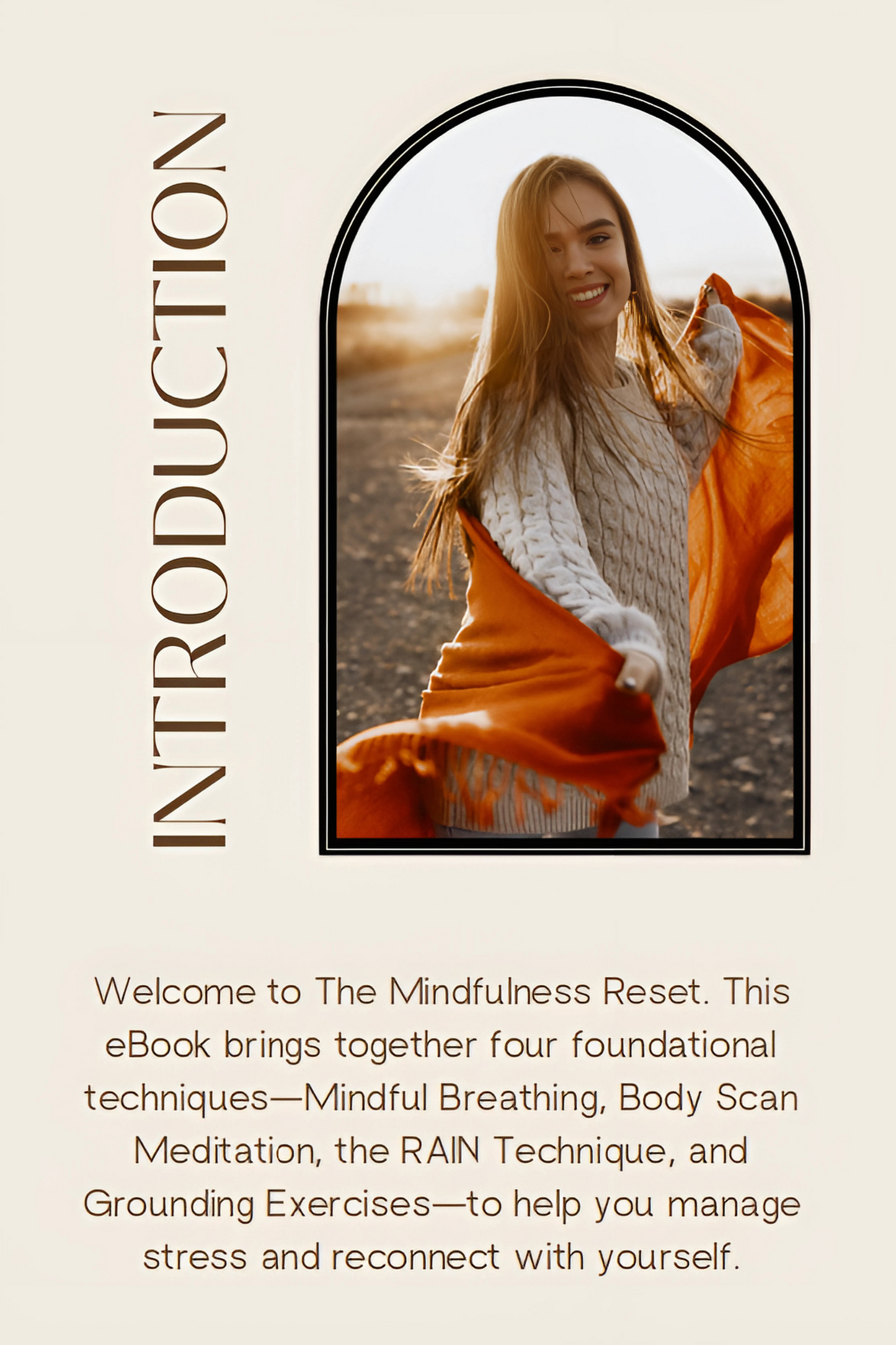 Mindfulness Reset: Four Essential Practices to De-Stress and Reconnect